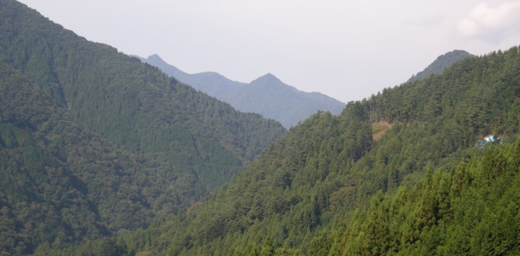 DSCN1159.jpg