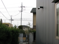 IMG_6389.JPG